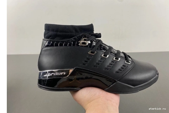 303891-004  Silver 17 303891-004  Jordan Metallic Black 0101